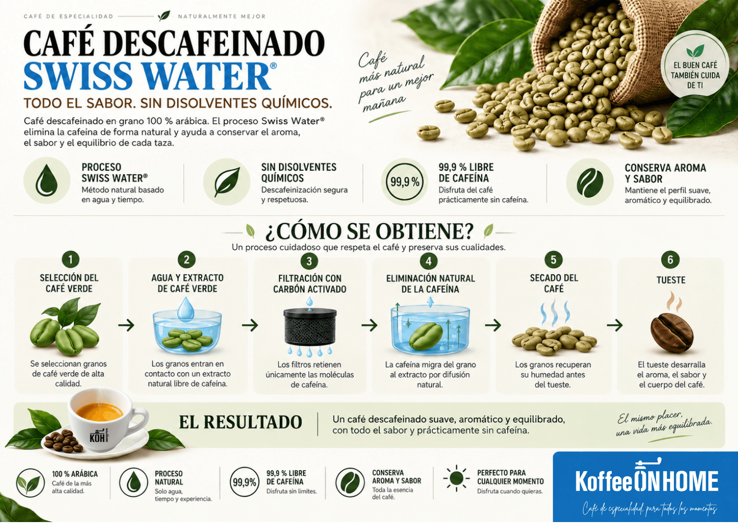 infografia con elementos