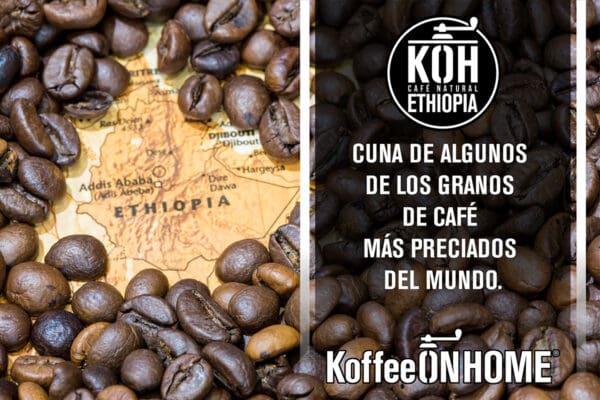 Café en Grano arábica de Ethiopia 500 gramos - Imagen 2