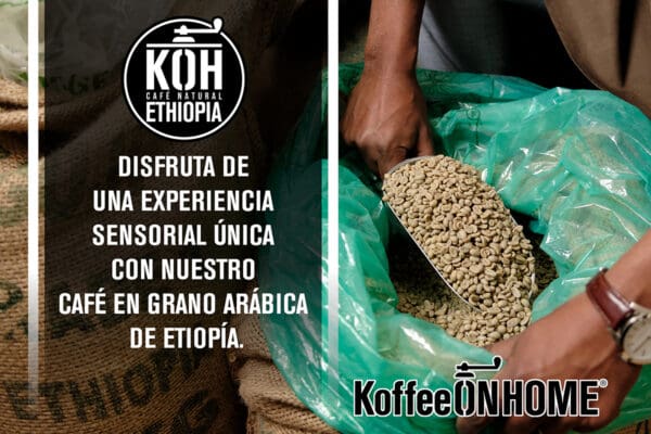 Café en Grano arábica de Ethiopia 500 gramos - Imagen 3