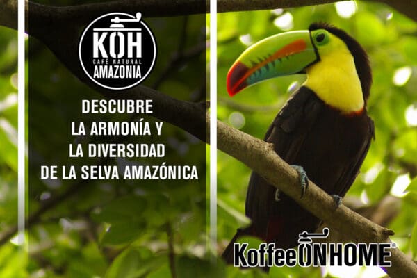 Café Molido Arábica Blend Amazonia 500 gramos - Imagen 6
