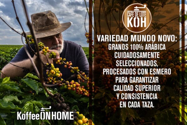 Café Molido 100% Arábica de Brasil – Tueste Medio Oscuro – Variedad Mundo Novo – 1 Kg - Imagen 3