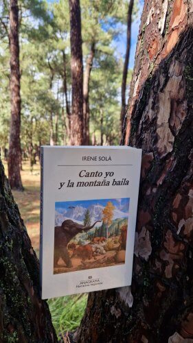 CANT0 YO Y LA MONTANA BAILA – Autora Irene Sola
